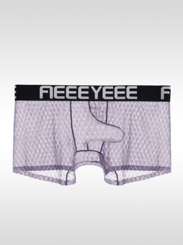 Men's Sexy Elephant Trunk Pouch Ice Silk Boxer Briefs