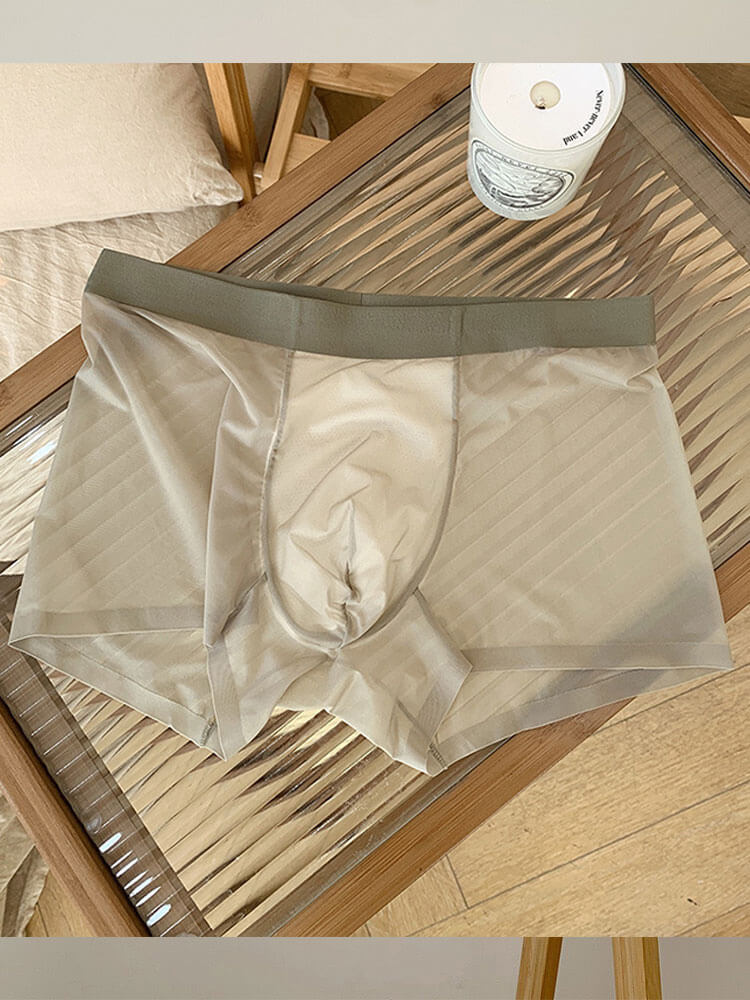 Men's Ultra-Thin Sheer Ice Silk Boxer Briefs