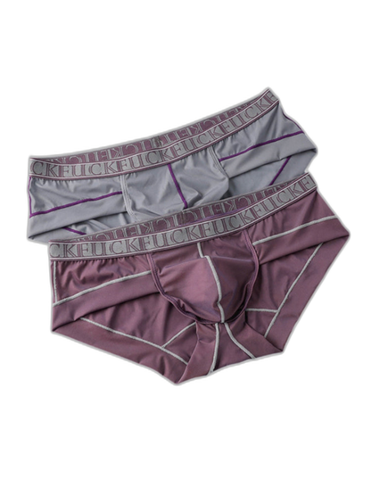 2 Pack Men's Ice-Silk Stretch Sports Briefs with 3D Pouch