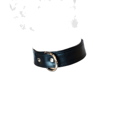 ruff GEAR Locking Bondage Collar