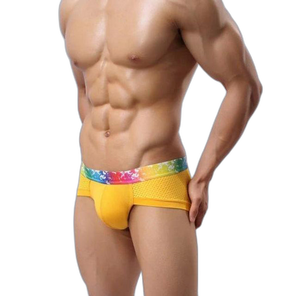 4 Pack Breathable Modal Colored Belt Briefs-rainbow pride underwear