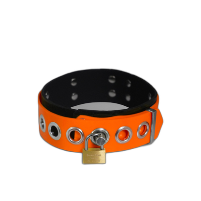 Dual-Colored Silicone Collar