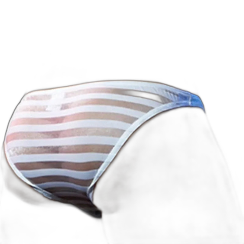 Striped Transparent Briefs