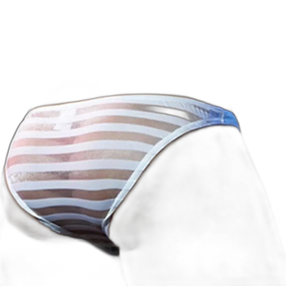 Striped Transparent Briefs