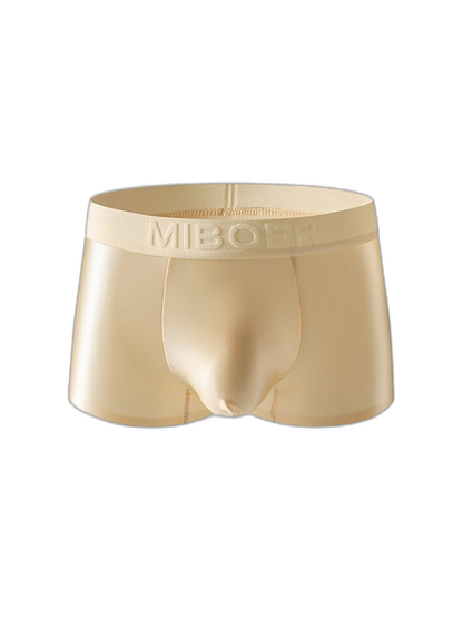 2 Pack Men's Premium Ice Silk Ultra-Soft Lightweight & Airy Trunks