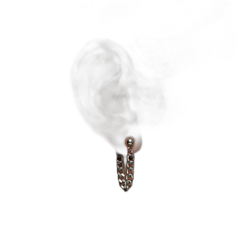 Lockdown Earrings