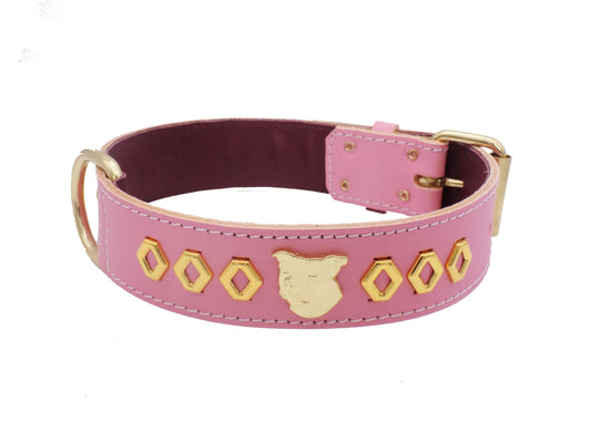1.5" Staffy Leather Dog Collar with Gold Decorative Design and Staffordshire Bull Terrier Badge