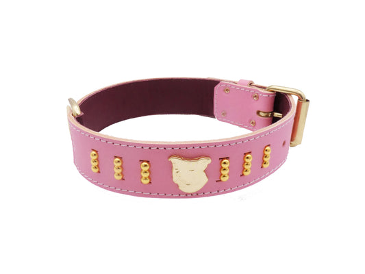 1.5" wide Staffy Leather Dog Collar with Gold Unique Decorative Design and Staffordshire Bull Terrier Badge