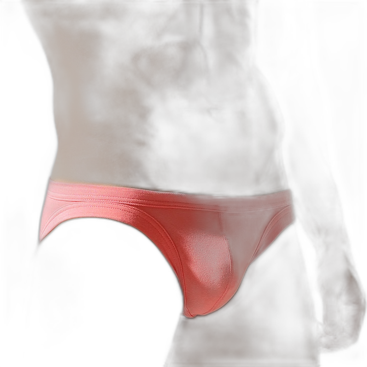 Tauwell Breathless Low-Rise Briefs