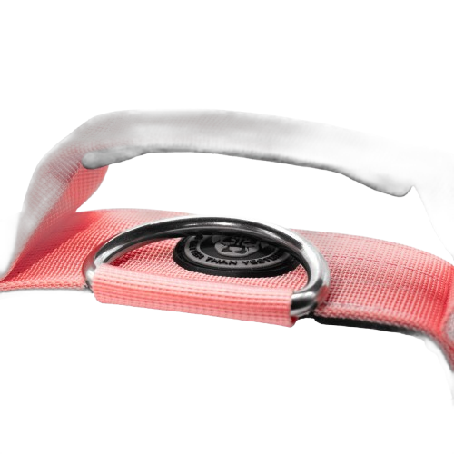 5cm Tactical Collar Pink