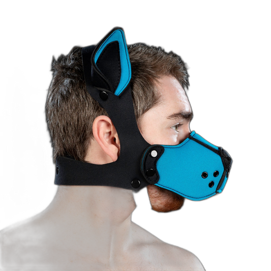 Mr S Leather Neoprene K9 Kit Ears Aqua