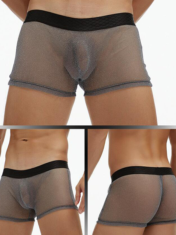 Men's Sheer Mesh Pouch Boxer