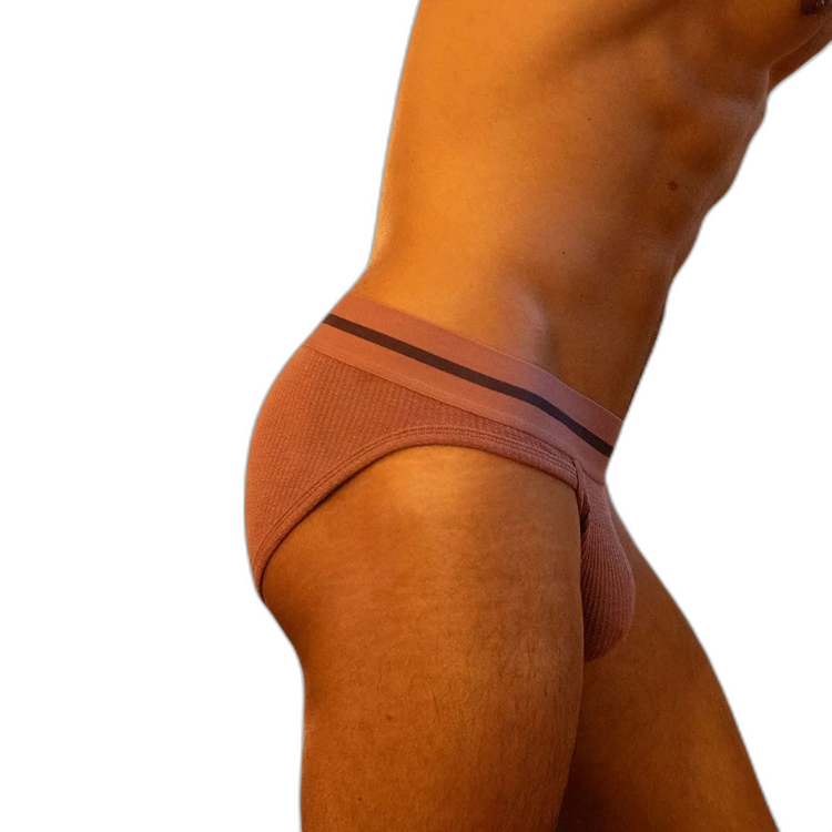 Tauwell Retro Era Briefs