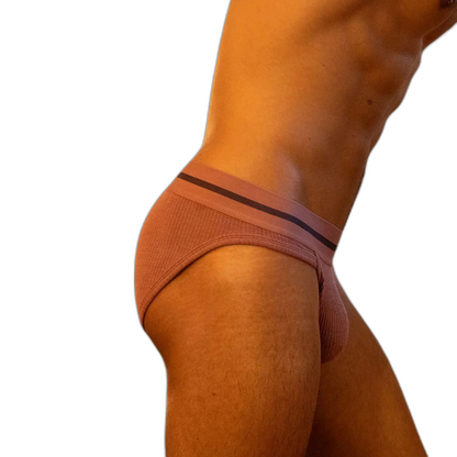 Tauwell Retro Era Briefs