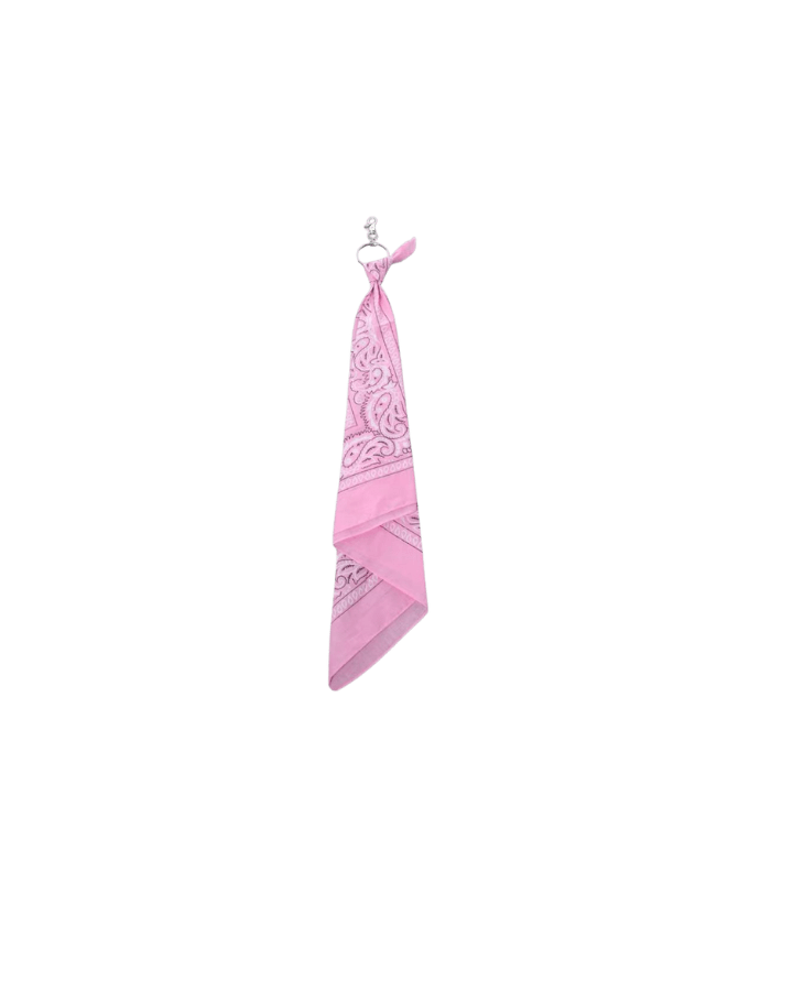 Multi-Color Paisley Bandana Layered Streetwear and Hip-Hop