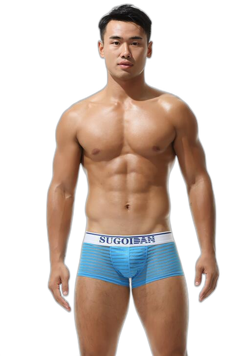 Men's Sexy Transparent Striped Trunks