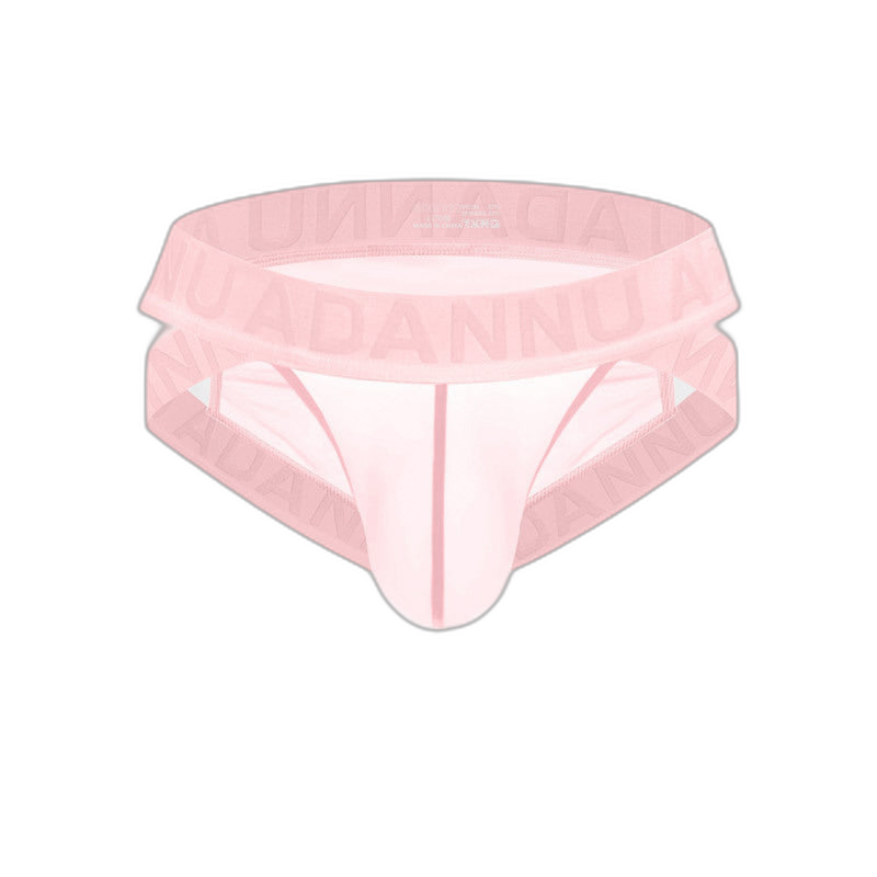 Sheer Mesh Brief