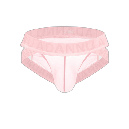 Sheer Mesh Brief