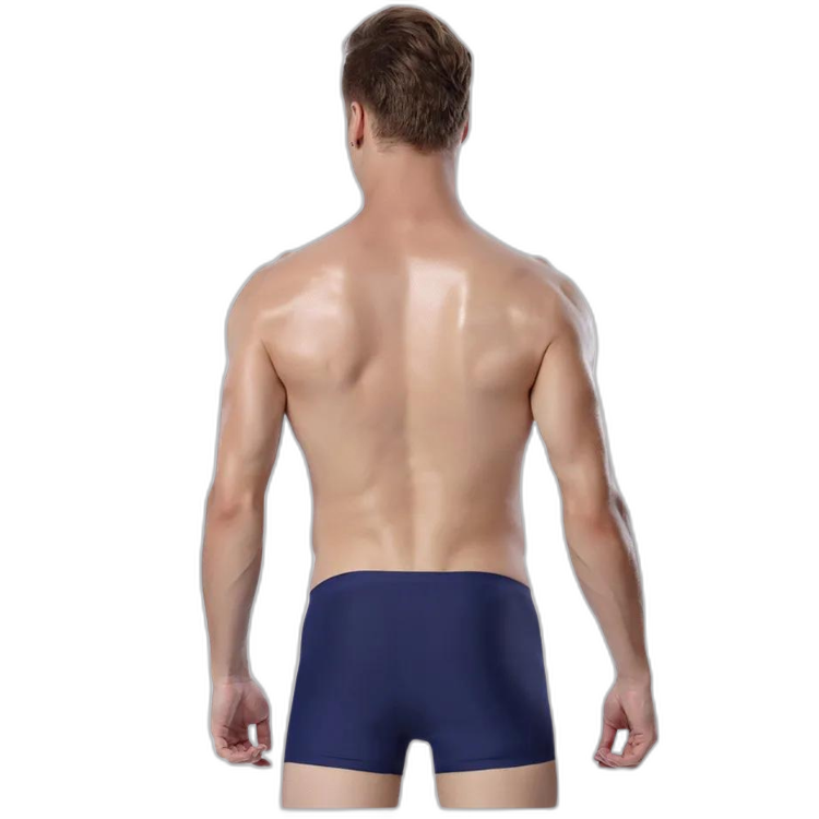 Ice Embrace Transparent Boxer Briefs (4 Pack)