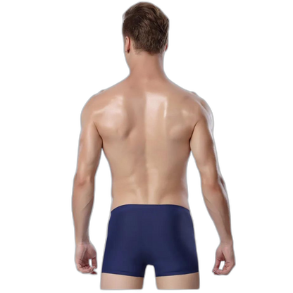 Ice Embrace Transparent Boxer Briefs (4 Pack)