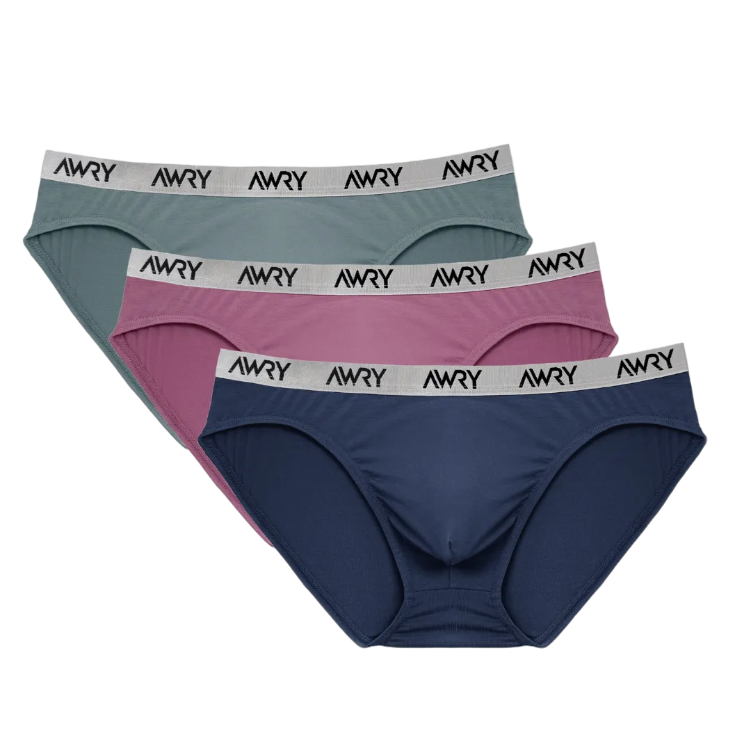 3 Pack SIGNATURE Slip Briefs