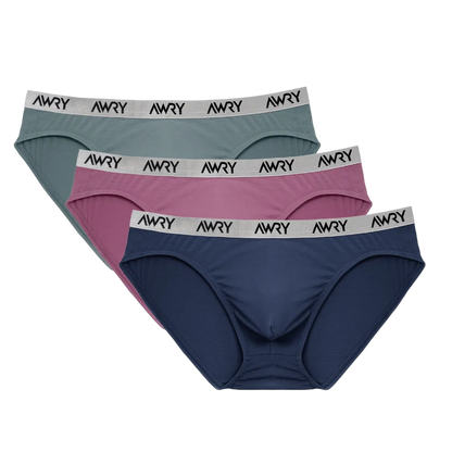 3 Pack SIGNATURE Slip Briefs