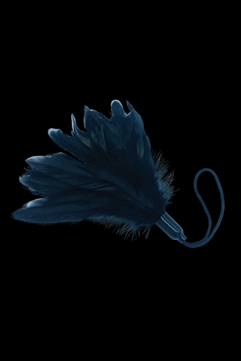 Black Feather Tickler - The Pup Play Hub