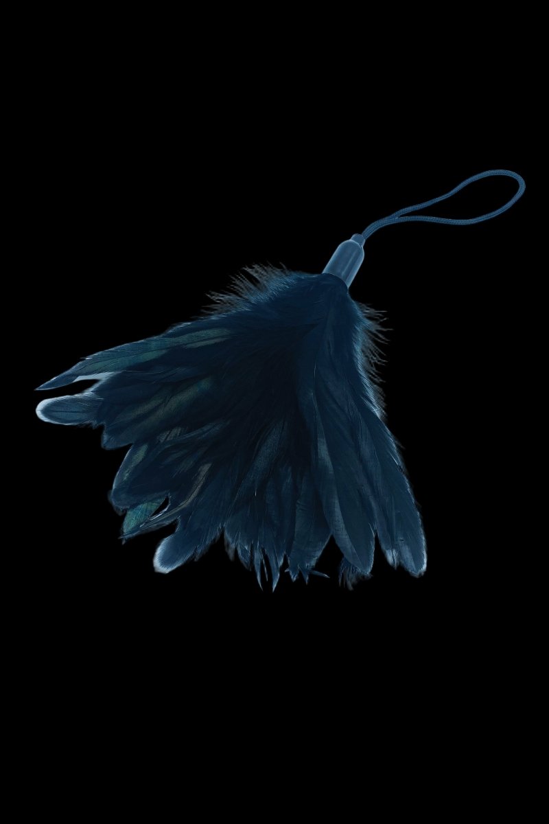 Black Feather Tickler - The Pup Play Hub
