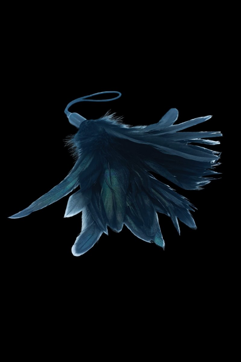 Black Feather Tickler - The Pup Play Hub