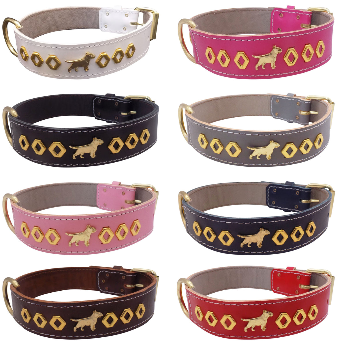 1.5" wide Leather Dog Collar with Decorative Gold Design and English Bull Terrier Badges