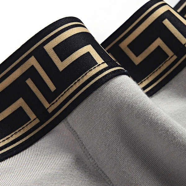 4 Pack Separate Ball Pouch Breathable Trunks