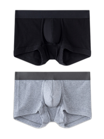 2 Pack Men's Ultra-Soft Premium Pure Cotton Comfy Waistband Seamless Trunks