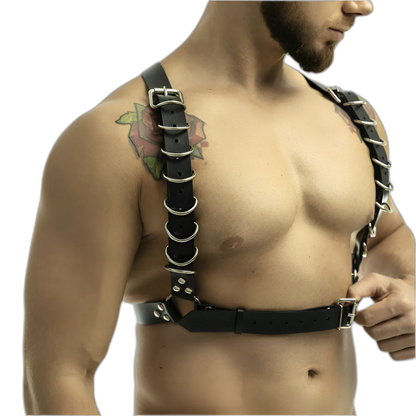 Full Buckle Body Harness