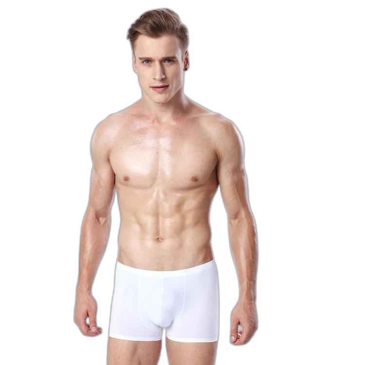 Ice Embrace Transparent Boxer Briefs (4 Pack)