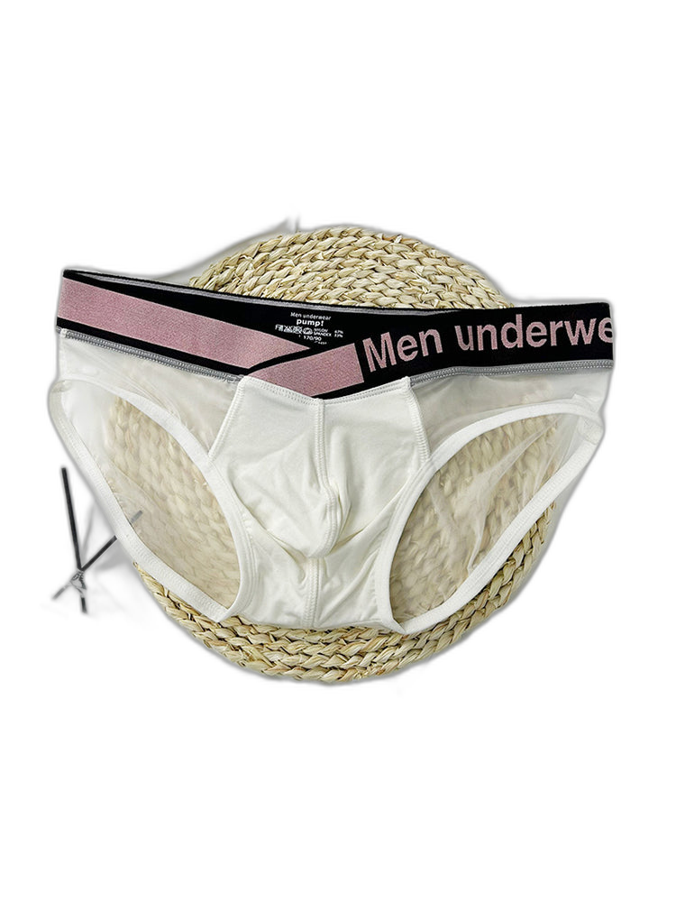 Men's Contoured Pouch Sheer Breathable Brief