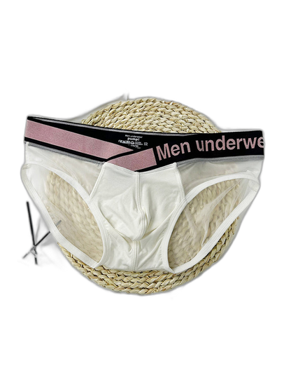 Men's Contoured Pouch Sheer Breathable Brief