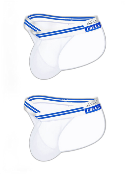 2-pack Men's Sexy Semi-transparent Mesh Briefs