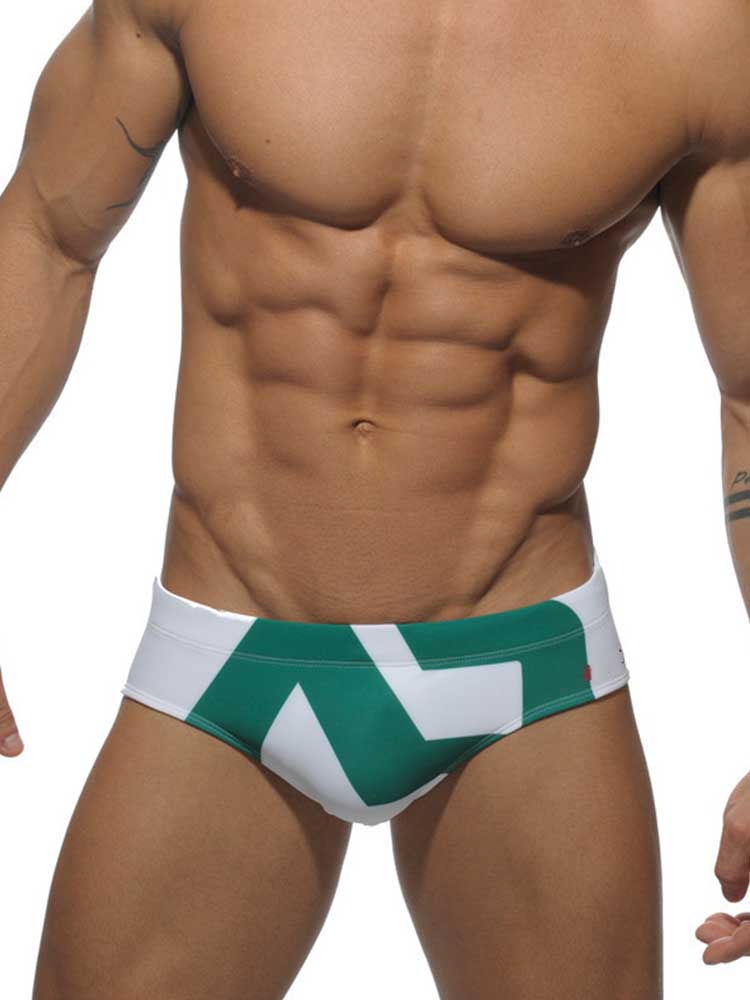 Zig Zag Swim Briefs