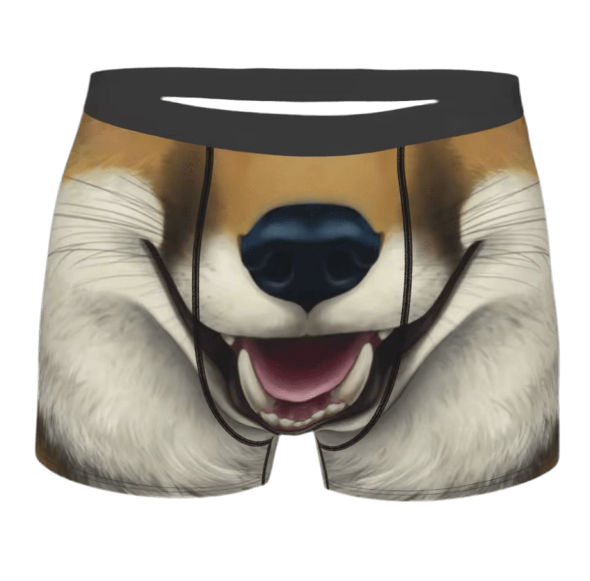 Wild Fox Maw Boxer Briefs