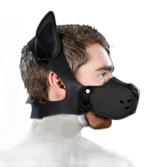 Mr S Leather Neoprene K9 Kit Black