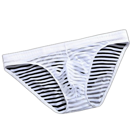 Striped Transparent Briefs