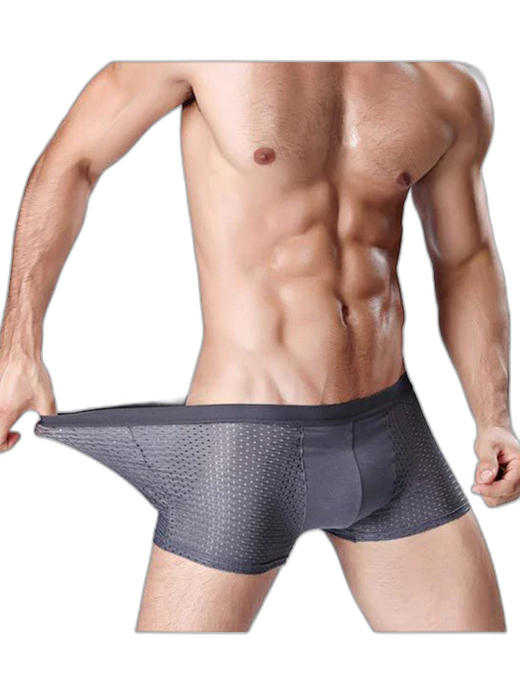 4 Pack Mesh Breathable Ice Silk Underwear Boxer