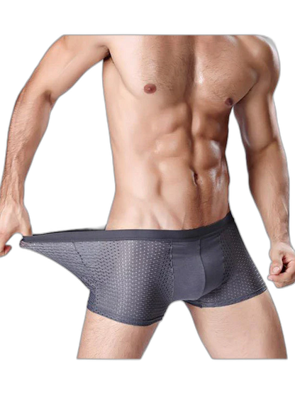 4 Pack Mesh Breathable Ice Silk Underwear Boxer