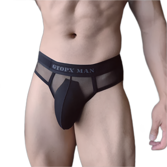 GX Ice Silk Briefs