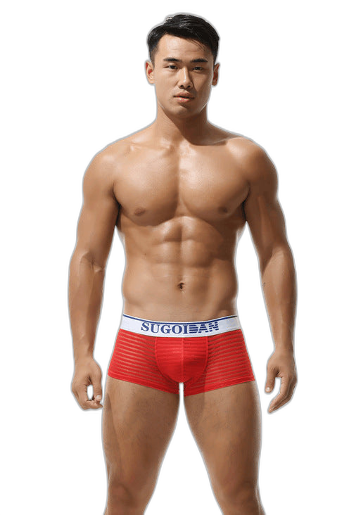 Men's Sexy Transparent Striped Trunks