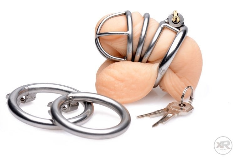 The Pen Deluxe Stainless Steel Locking Chastity Cage