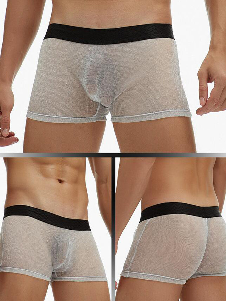 Men's Sheer Mesh Pouch Boxer