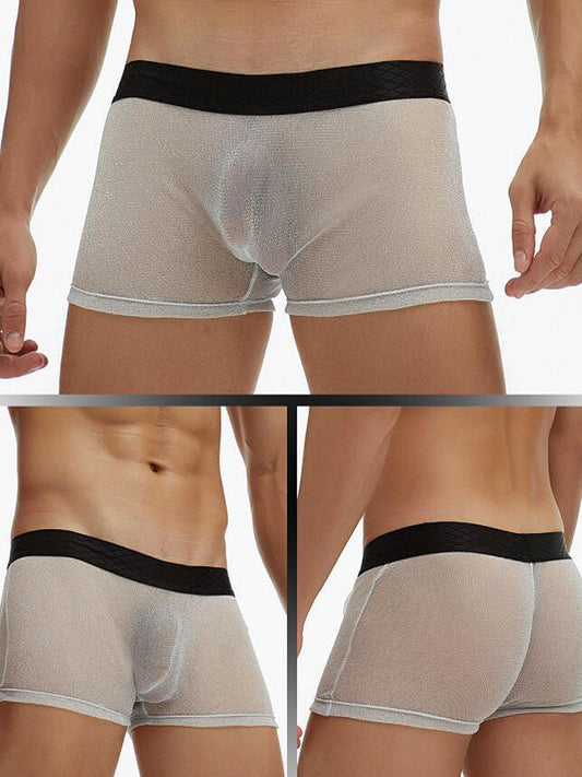 Men's Sheer Mesh Pouch Boxer