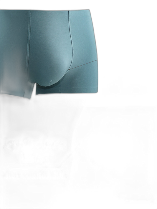 2 Pack Cooling Seamless Ball Support Pouch Trunks