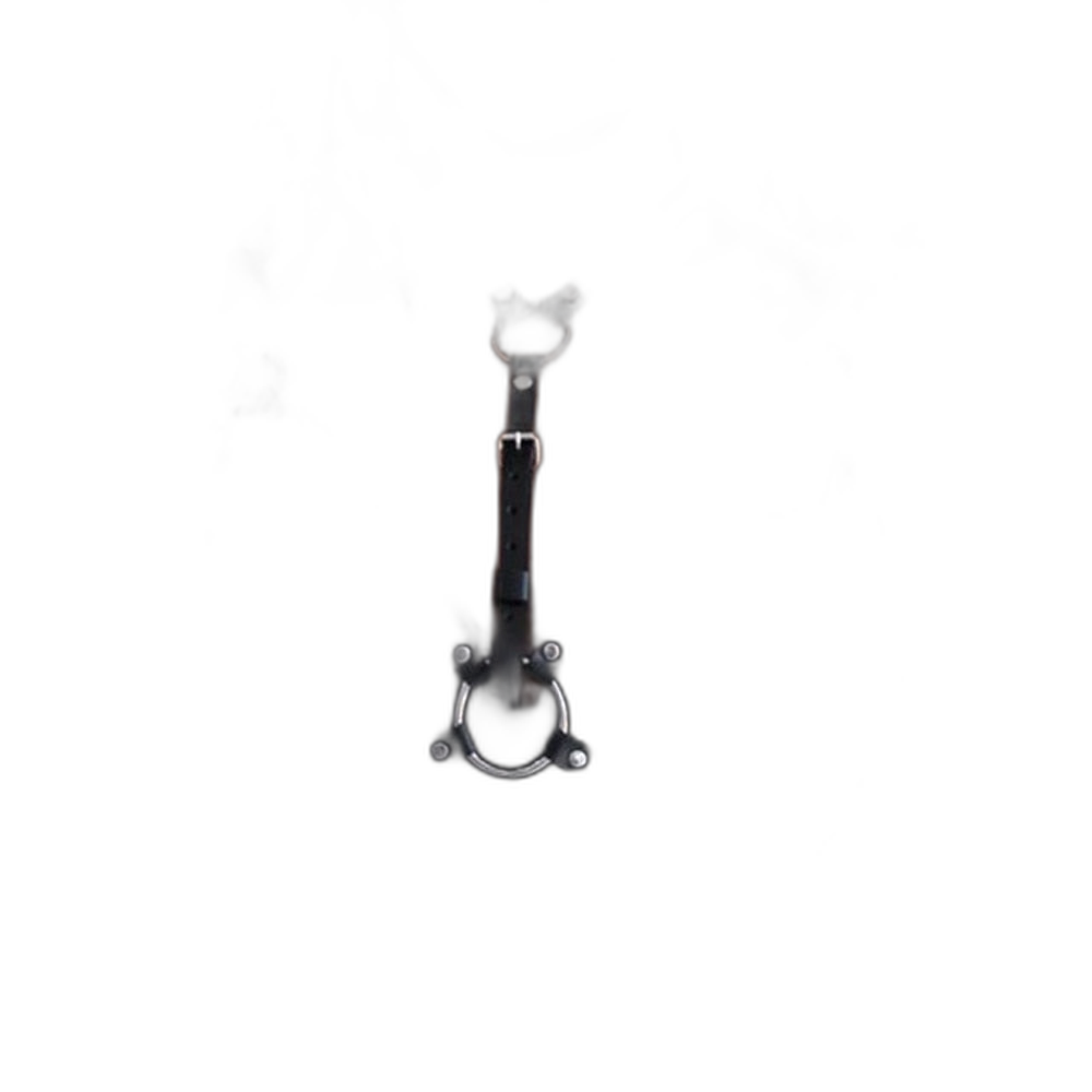 Women's Bondage Lingerie Garter